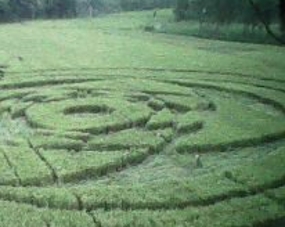 first indonesian crop circle